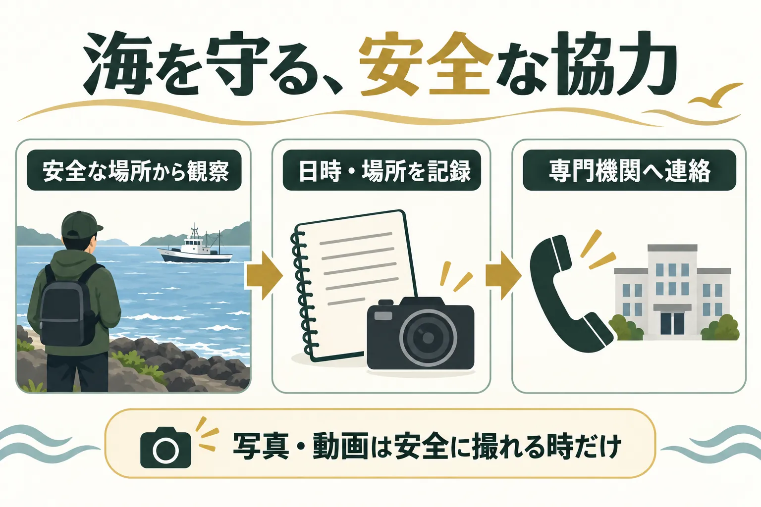 海を守る協力の図解。安全な場所から観察し、日時と場所を記録し、専門機関へ連絡する。写真や動画は安全に撮れる時だけ