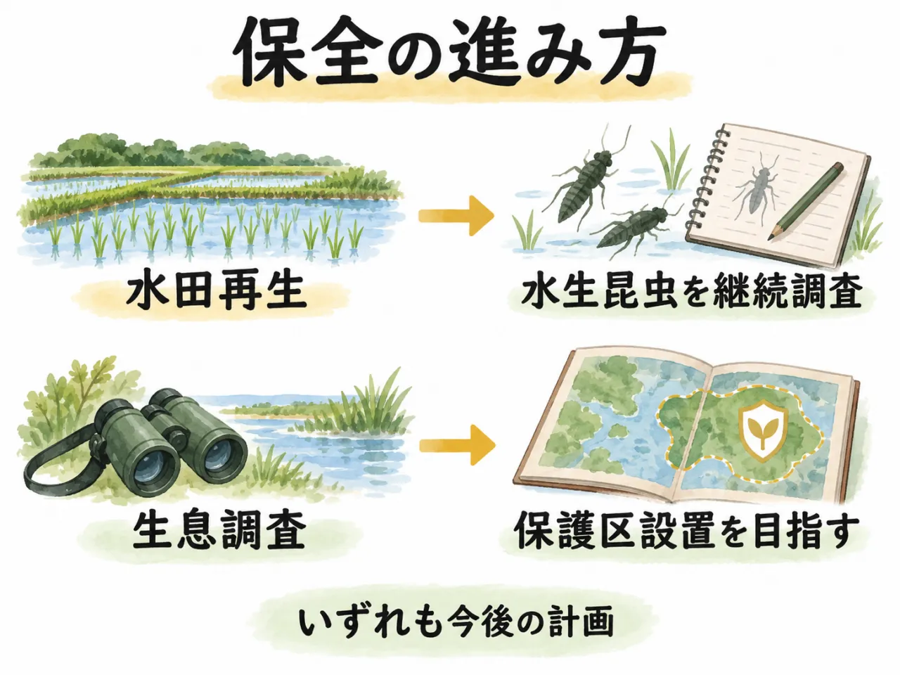 図解:水田再生と水生昆虫の継続調査、生息調査と保護区設置を目指す二つの取組
